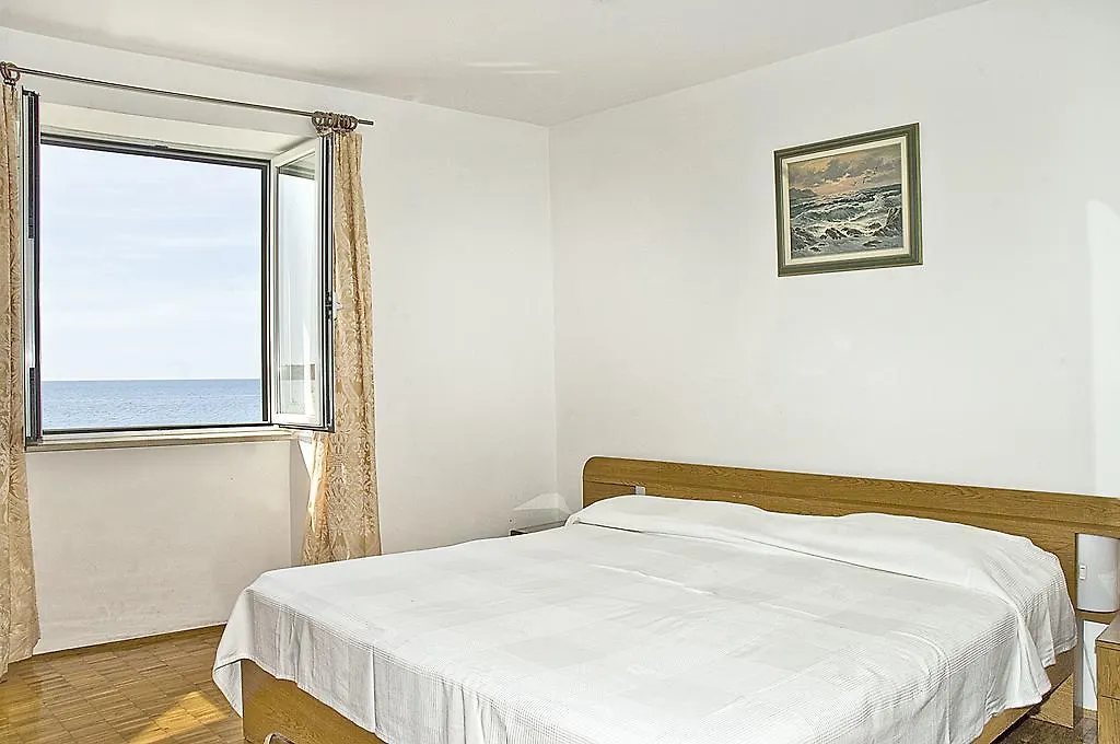 Apartments Tomato Novigrad